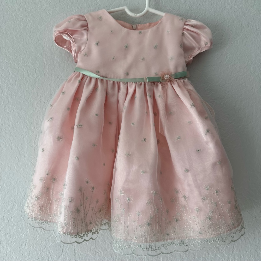 Bonnie Baby Light Pink Dress with Light Green Floral Embroidered Accents, 12M